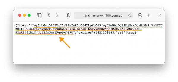 ArcGIS Service Token Response